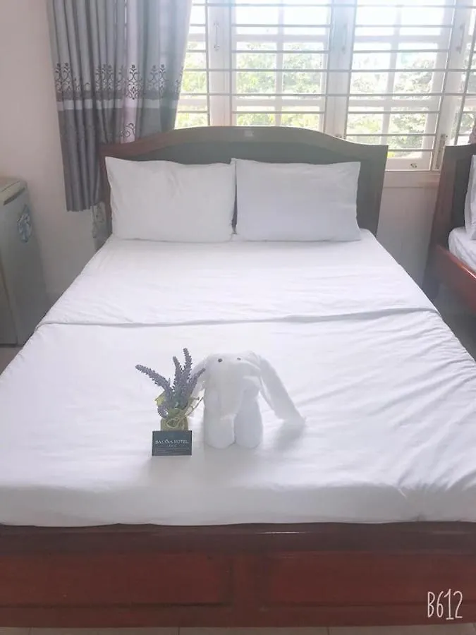 Salyna Motel Da Nang Bed & Breakfast